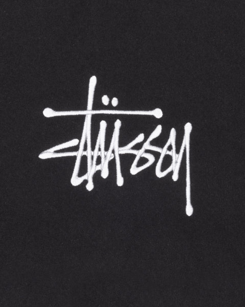 Stussy Basic Applique Hoodie Heren Zwart Nederland | ECS-7599