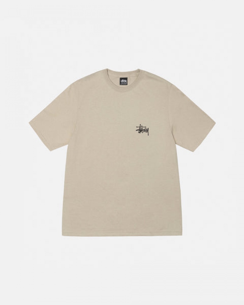 Stussy Basic Stussy Tee T-shirts Dames Khaki Nederland | YBR-9195
