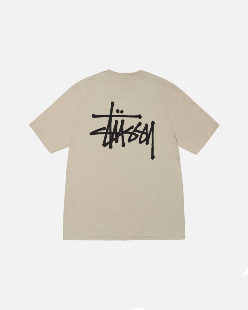 Stussy Basic Stussy Tee T-shirts Heren Khaki Nederland | WCD-7315